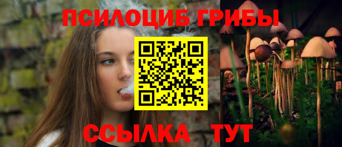 Галлюциногенные грибы GOLDEN TEACHER Курчалой