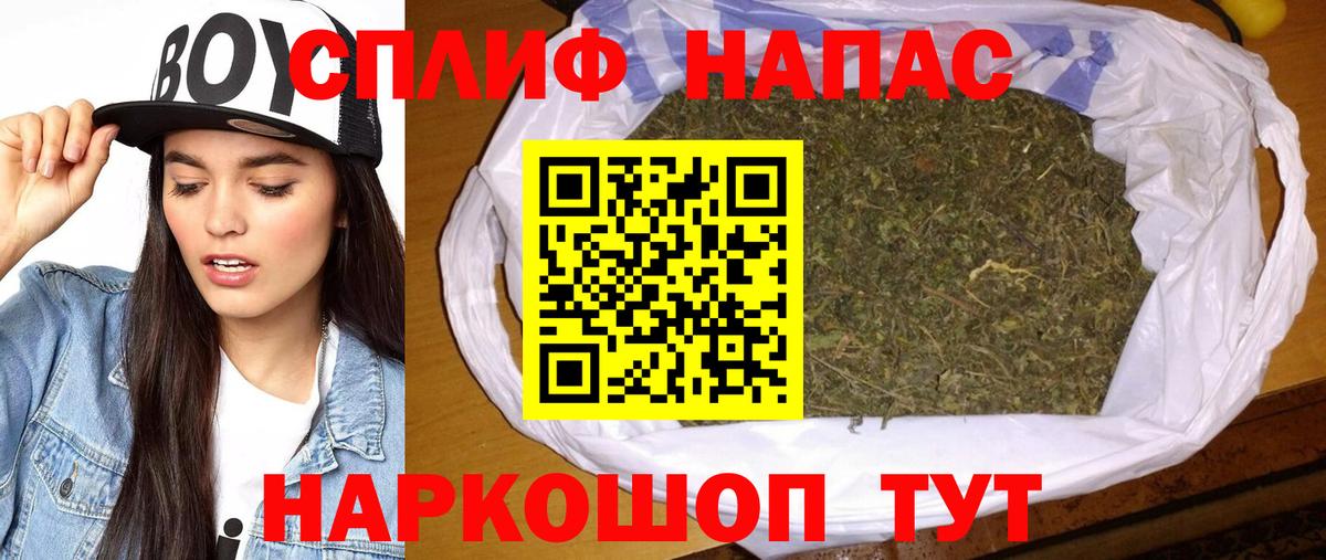 Курчалой  Шишки марихуана тримм  Вход с VPN  Шишки марихуана AK-47 